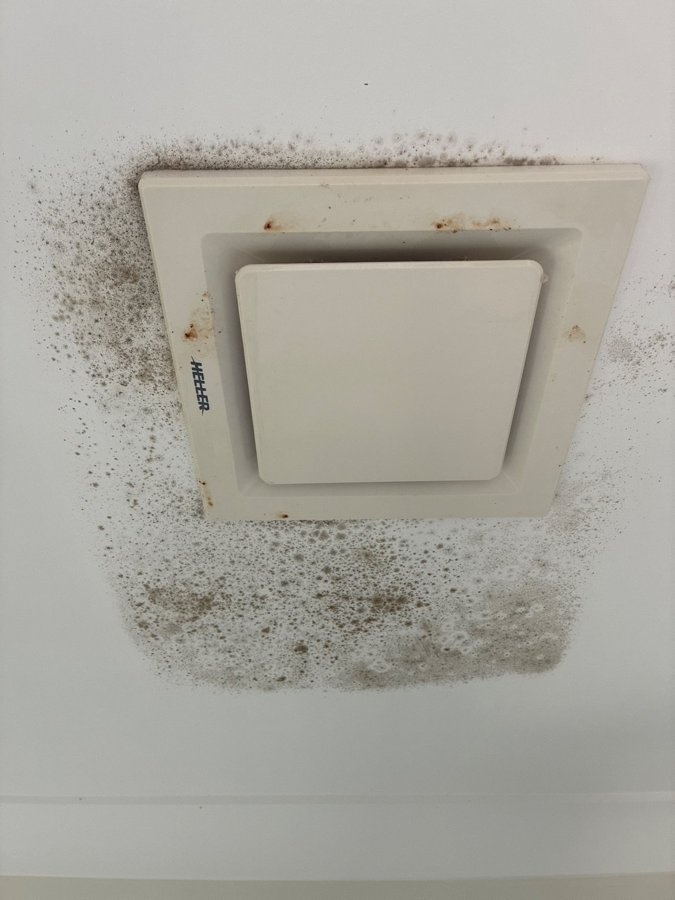 Mould growth radiating outward from missing insulation next to an exhaust fan in Pimpapma.