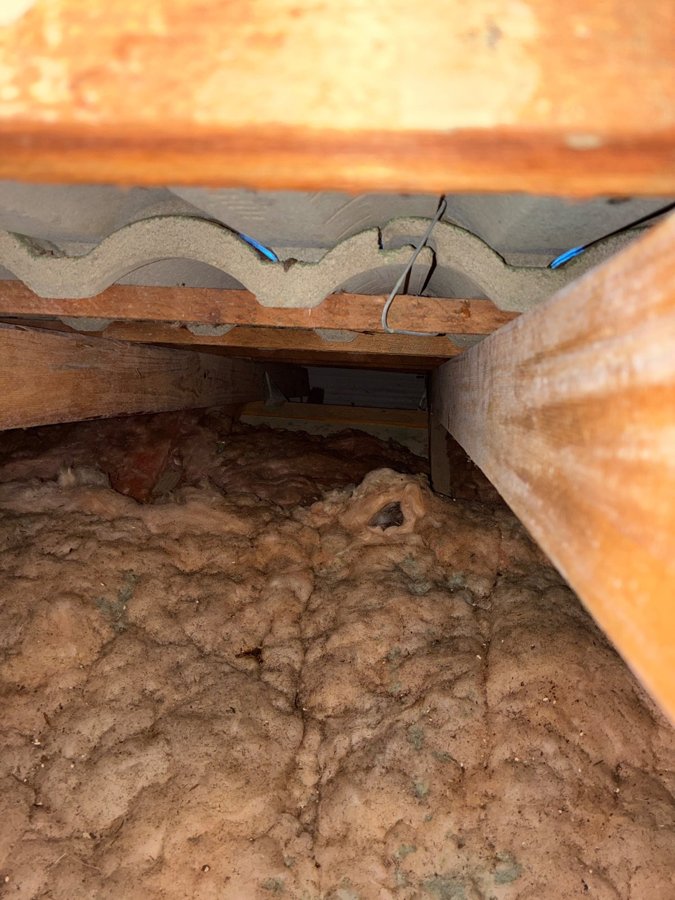 Bathroom exhaust fan discharging into a roof cavity at an Ormeau property