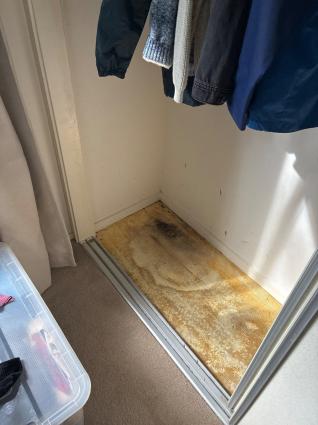 Bedroom wardrobe with the carpet lifted out, showing mould growth and staining on the floor beneath