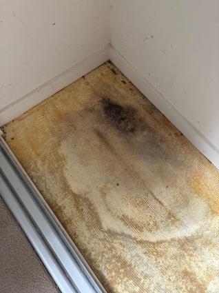 Close view of mould growth and water staining on the floor concealed beneath bedroom carpet