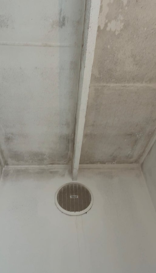 The bathroom exhaust fan grille and ceiling at a Currumbin property