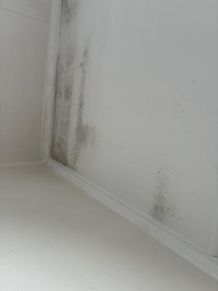 Mould growth tracking the junction between a bedroom wall and ceiling in a clean room