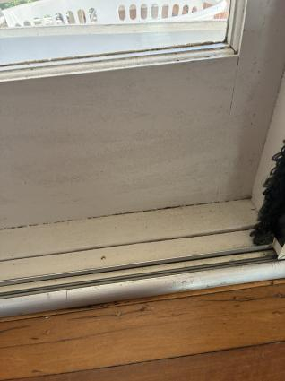 Mould growth on the sill and frame of an older timber double hung window