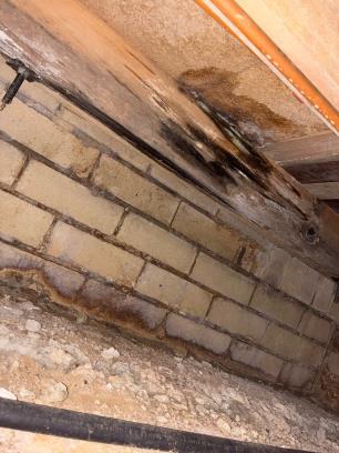 Mould growth on subfloor framing and the underside of flooring above a brick foundation wall in a poorly ventilated subfloor