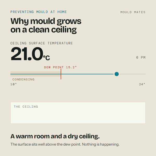 Animation showing a ceiling surface temperature falling overnight from 21 degrees to 13.6 degrees, crossing below the room dew point of 15.2 degrees, condensation then forming on the surface, and mould growth following after this repeats night after night