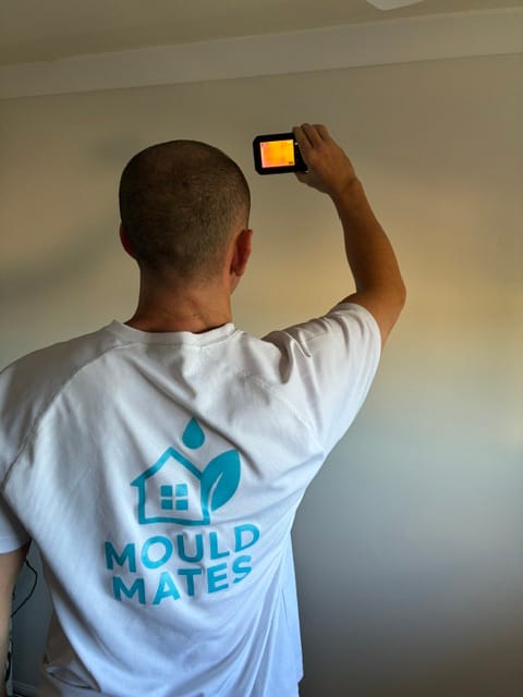 What the last 90 mould inspections actually found