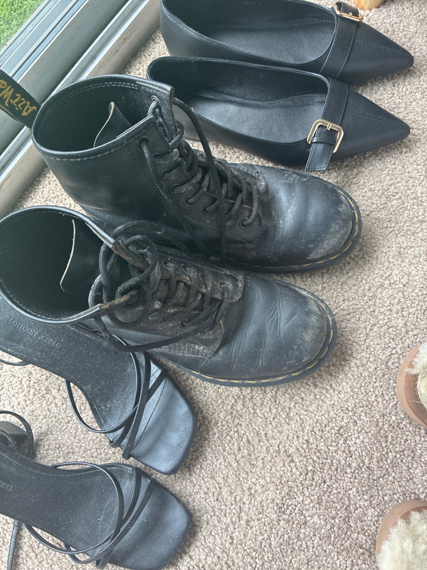 The early sign. Growth came up as a raised bloom across the leather uppers of boots stored on the wardrobe floor. The linings, the shelving and the carpet in the same room were clean.