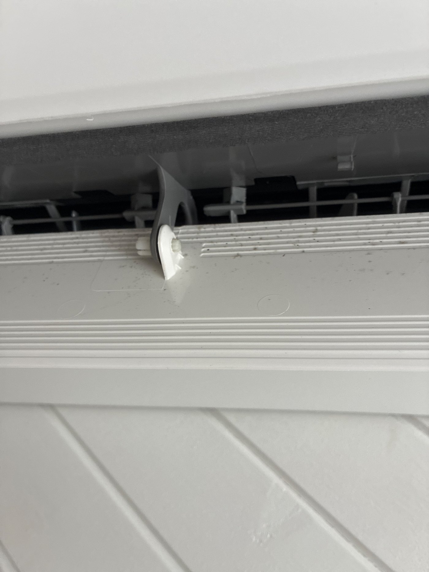 Growth on the vanes of one of the air conditioners. Every unit in the house was the same.