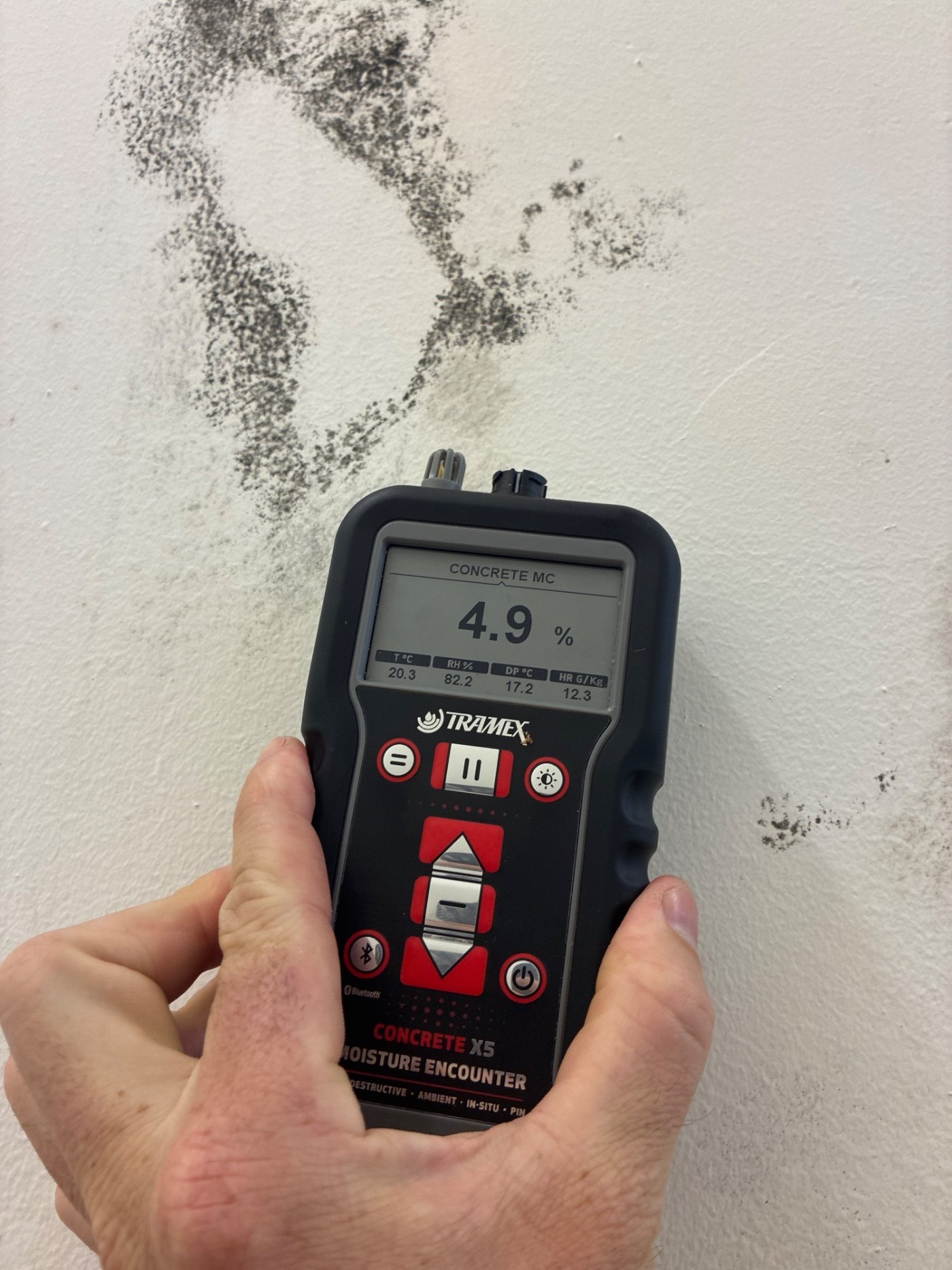 The moisture meter on the concrete, with the growth spreading above it. The wall reads highest where the joint is.
